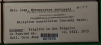 Image Associated With the Occurence